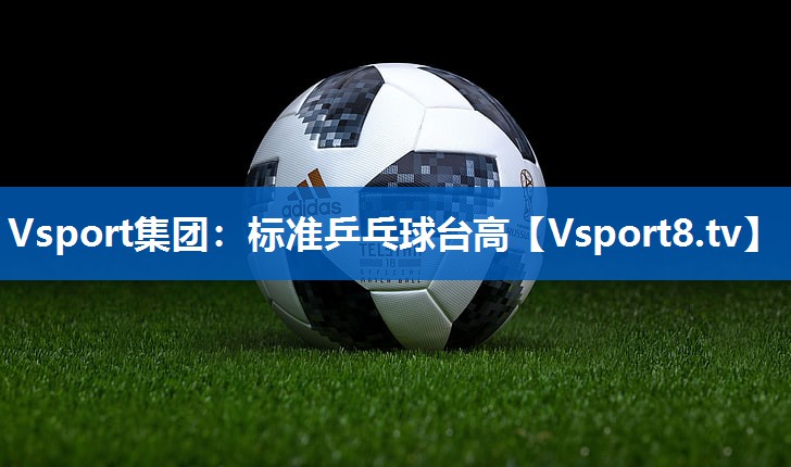 <strong>Vsport集团：标准乒乓球台高</strong>