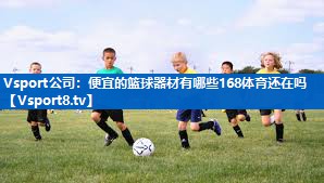 <strong>Vsport公司：便宜的篮球器材有哪些168体育还在吗</strong>