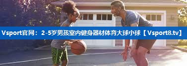 <strong>Vsport官网：2-5岁男孩室内健身器材体育大球小球</strong>