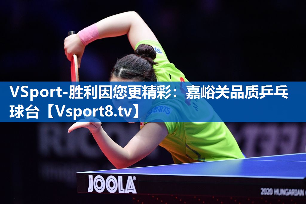 <strong>VSport-胜利因您更精彩：嘉峪关品质乒乓球台</strong>