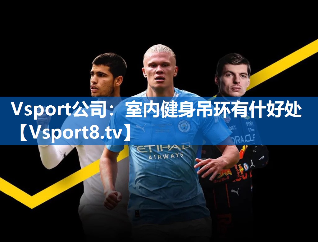 <strong>Vsport公司：室内健身吊环有什好处</strong>