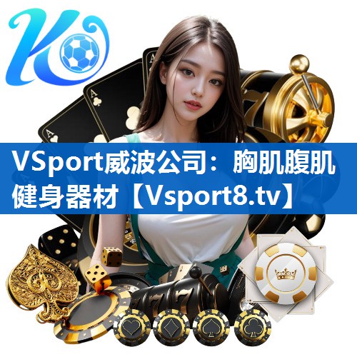 <strong>VSport威波公司：胸肌腹肌健身器材</strong>