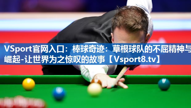 <strong>VSport官网入口：棒球奇迹：草根球队的不屈精神与崛起-让世界为之惊叹的故事</strong>