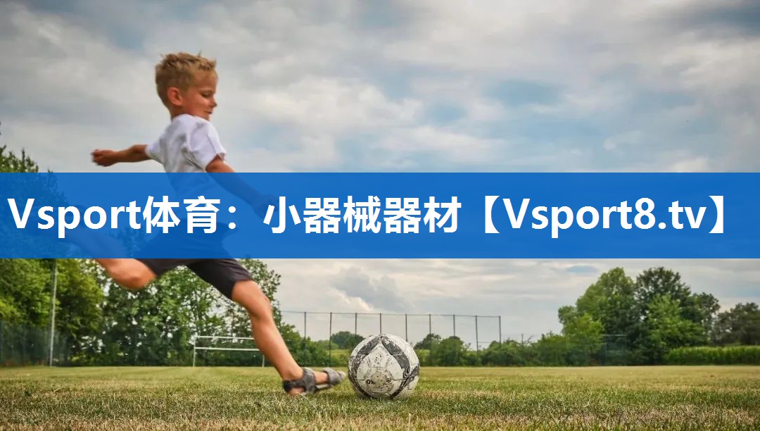 Vsport体育：小器械器材