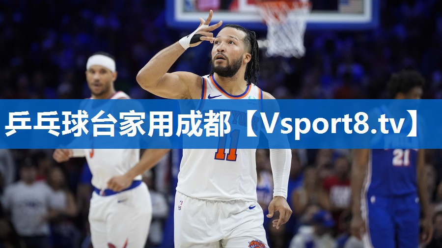 <strong>乒乓球台家用成都</strong>