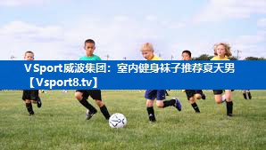 <strong>VSport威波集团：室内健身袜子推荐夏天男</strong>