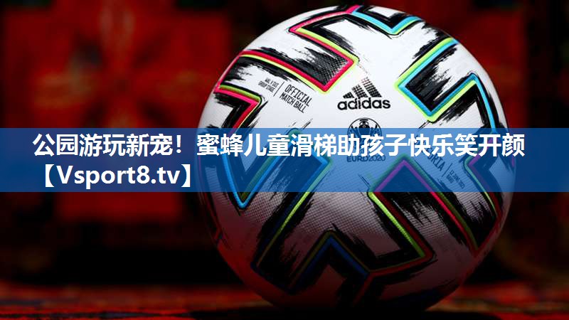<strong>公园游玩新宠！蜜蜂儿童滑梯助孩子快乐笑开颜</strong>