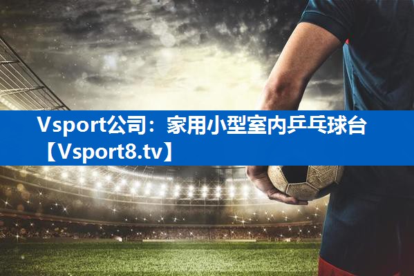 Vsport公司：家用小型室内乒乓球台