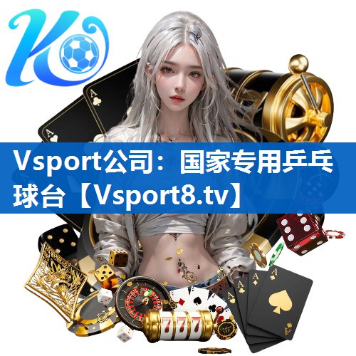 Vsport公司：国家专用乒乓球台
