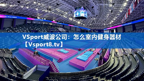 <strong>VSport威波公司：怎么室内健身器材</strong>