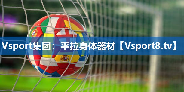 <strong>Vsport集团：平拉身体器材</strong>