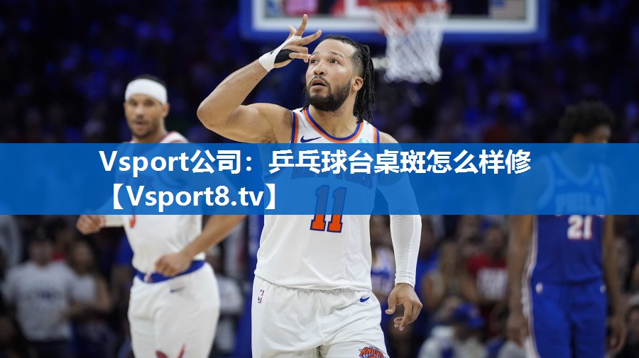 <strong>Vsport公司：乒乓球台桌斑怎么样修</strong>