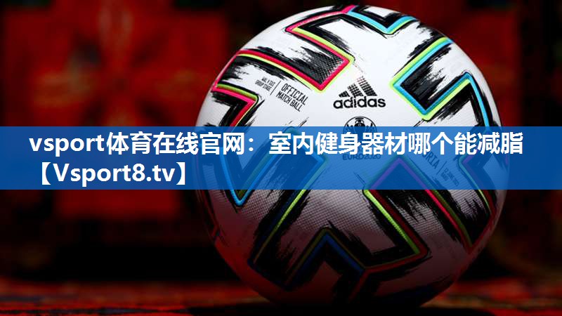 vsport体育在线官网：室内健身器材哪个能减脂