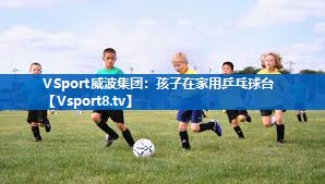 <strong>VSport威波集团：孩子在家用乒乓球台</strong>