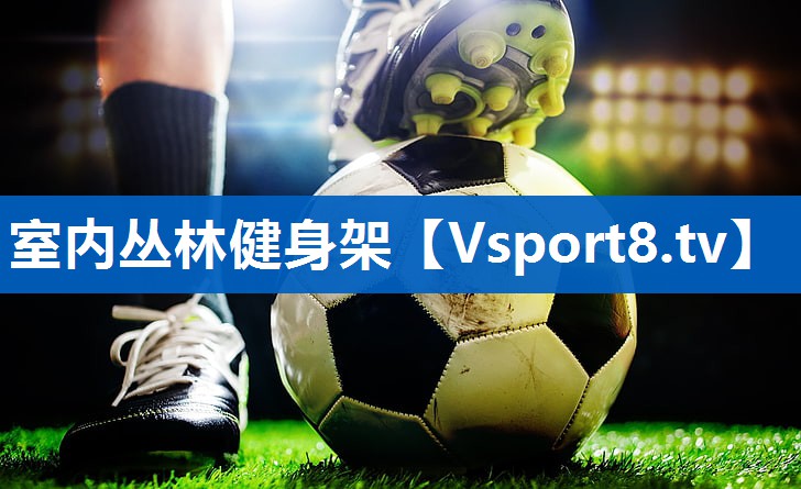 室内丛林健身架