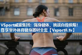 <strong>VSport威波集团：强身健体，挑战自我极限！尊享室外体育健身器材全套</strong>