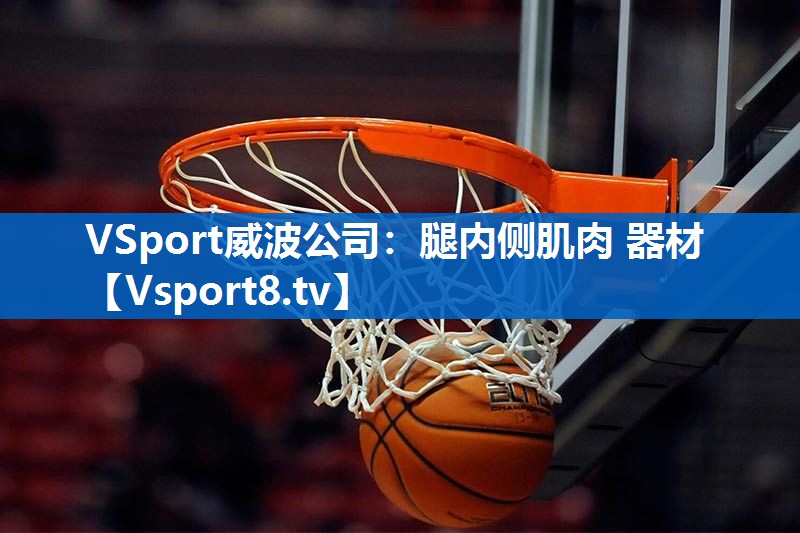<strong>VSport威波公司：腿内侧肌肉 器材</strong>