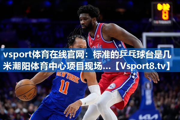 vsport体育在线官网：标准的乒乓球台是几米潮阳体育中心项目现场…