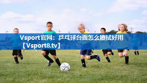 <strong>Vsport官网：乒乓球台面怎么擦拭好用</strong>