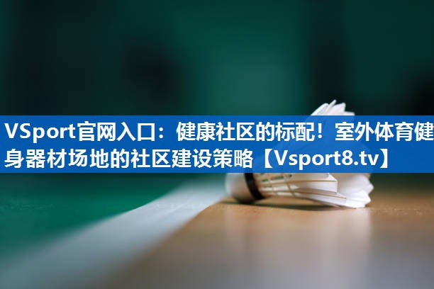VSport官网入口：健康社区的标配！室外体育健身器材场地的社区建设策略