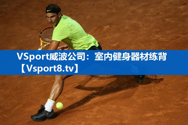 <strong>VSport威波公司：室内健身器材练背</strong>