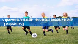 <strong>vsport体育在线官网：室内老年人健身器材多功能</strong>