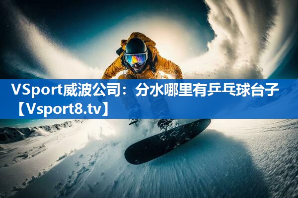 <strong>VSport威波公司：分水哪里有乒乓球台子</strong>