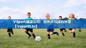 VSport威波公司：室外乒乓球台外罩