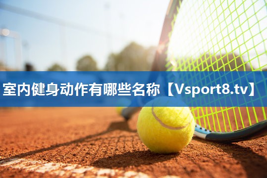 室内健身动作有哪些名称