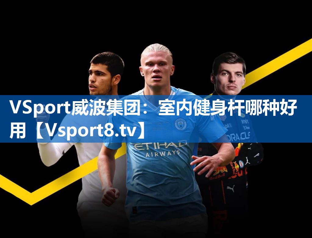VSport威波集团：室内健身杆哪种好用