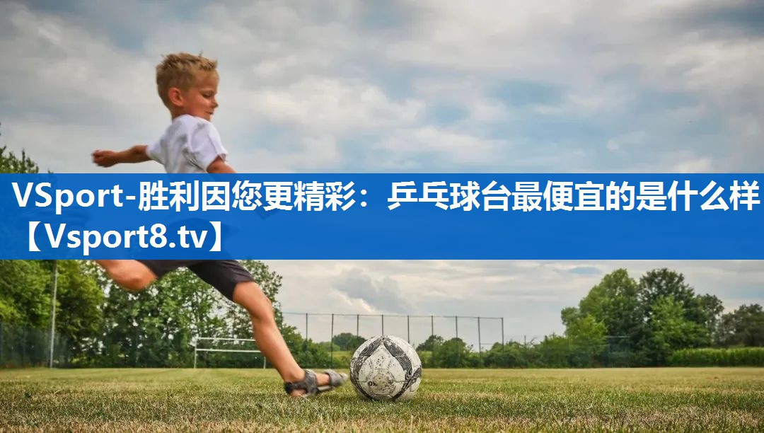 VSport-胜利因您更精彩：乒乓球台最便宜的是什么样