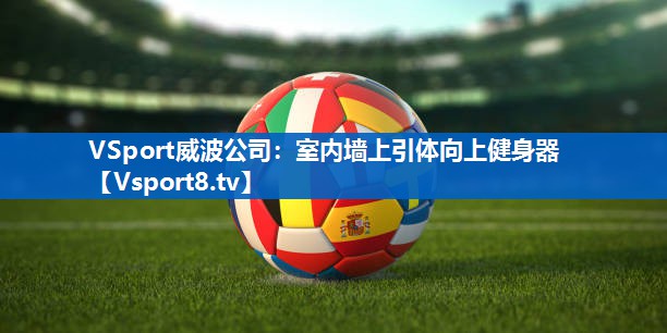 VSport威波公司：室内墙上引体向上健身器