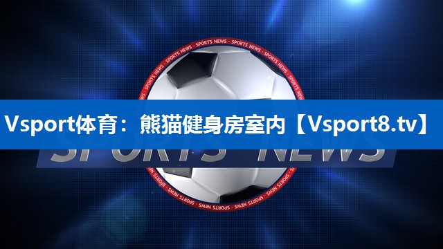 Vsport体育：熊猫健身房室内