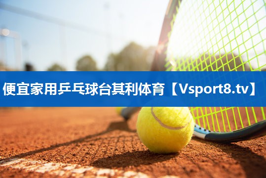 便宜家用乒乓球台其利体育