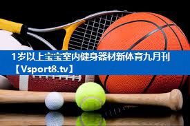 <strong>1岁以上宝宝室内健身器材新体育九月刊</strong>