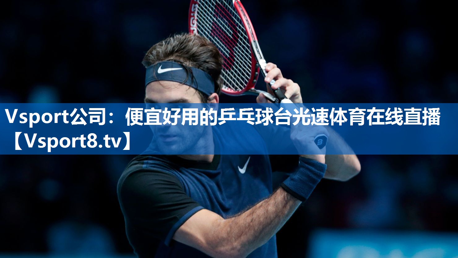 <strong>Vsport公司：便宜好用的乒乓球台光速体育在线直播</strong>