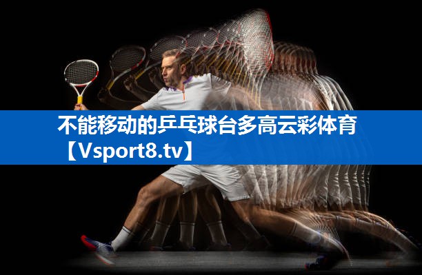 不能移动的乒乓球台多高云彩体育