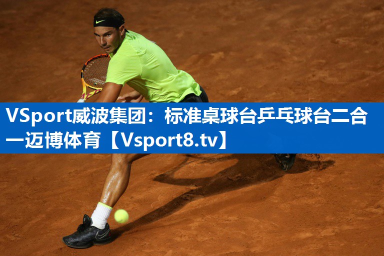 VSport威波集团：标准桌球台乒乓球台二合一迈博体育