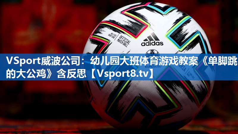 VSport威波公司：幼儿园大班体育游戏教案《单脚跳的大公鸡》含反思