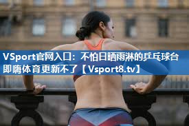 <strong>VSport官网入口：不怕日晒雨淋的乒乓球台即嗨体育更新不了</strong>