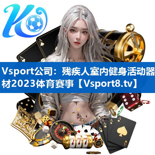 <strong>Vsport公司：残疾人室内健身活动器材2023体育赛事</strong>