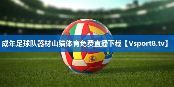 <strong>成年足球队器材山猫体育免费直播下载</strong>