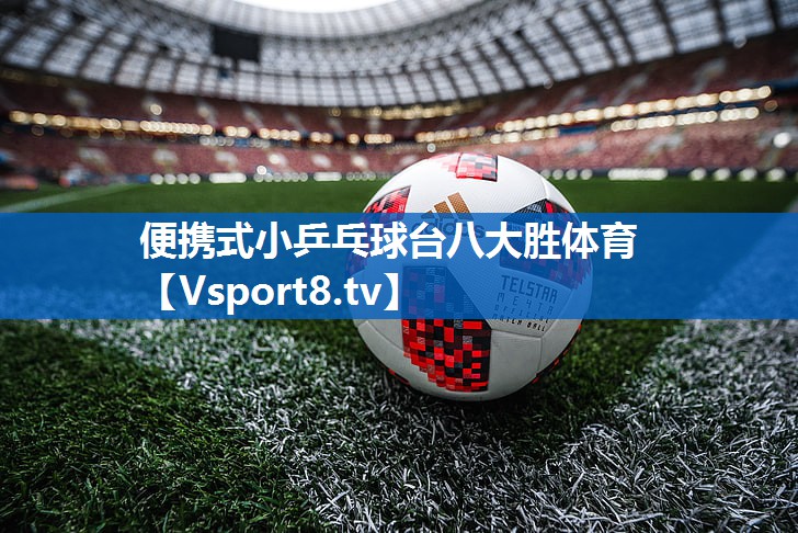 便携式小乒乓球台八大胜体育