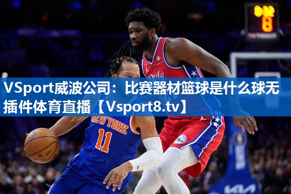 <strong>VSport威波公司：比赛器材篮球是什么球无插件体育直播</strong>