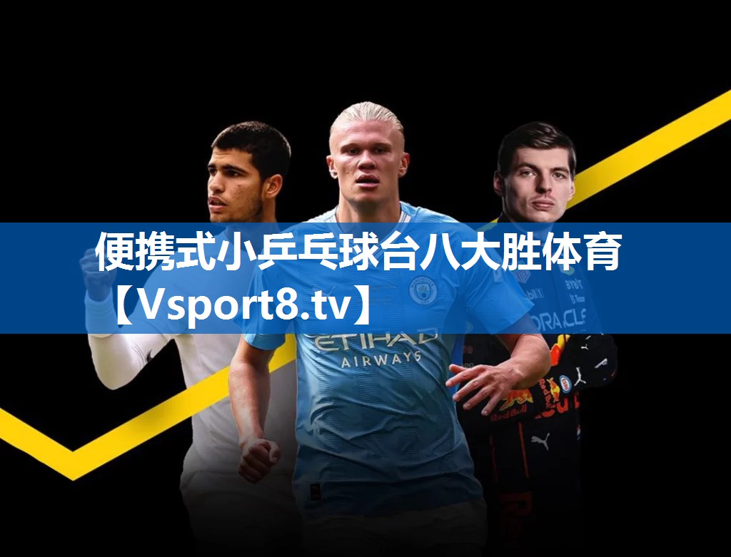 便携式小乒乓球台八大胜体育