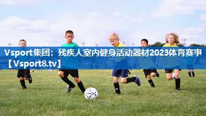 <strong>Vsport集团：残疾人室内健身活动器材2023体育赛事</strong>