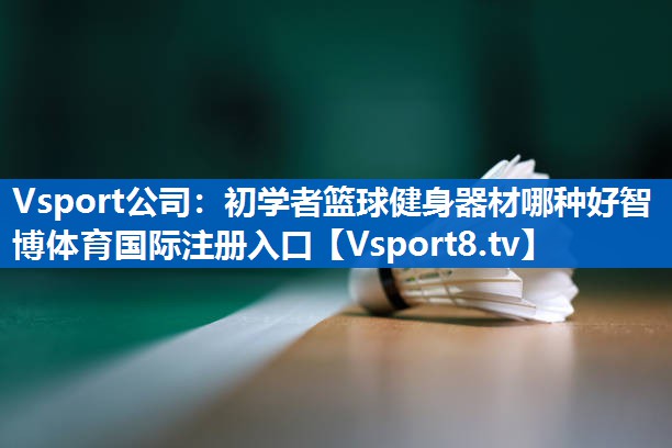Vsport公司：初学者篮球健身器材哪种好智博体育国际注册入口