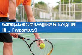 <strong>标准的乒乓球台是几米潮阳体育中心项目现场…</strong>