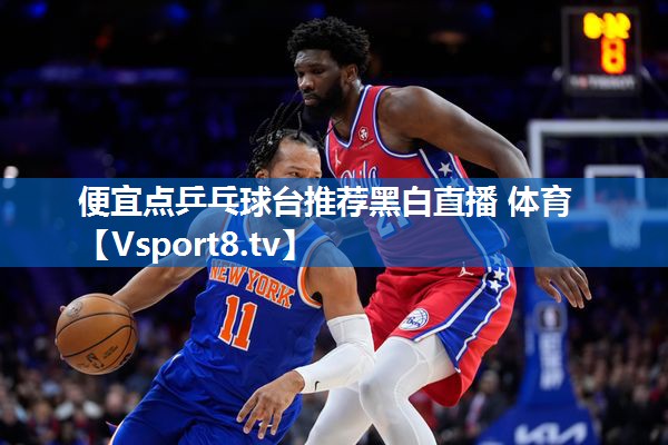 便宜点乒乓球台推荐黑白直播 体育