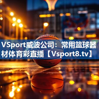 <strong>VSport威波公司：常用篮球器材体育彩直播</strong>